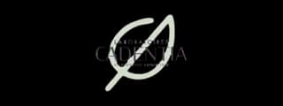 Cadentia