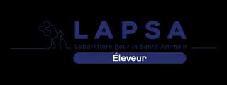 Lapsa